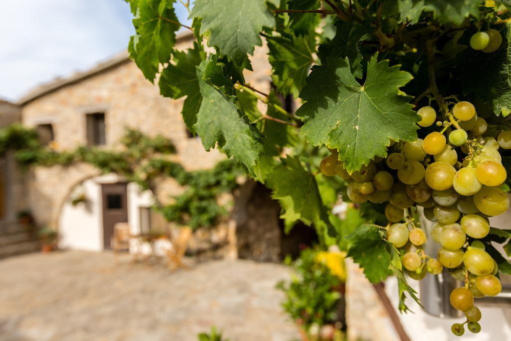 Casa Mauri Villa Tremp Dış mekan fotoğraf